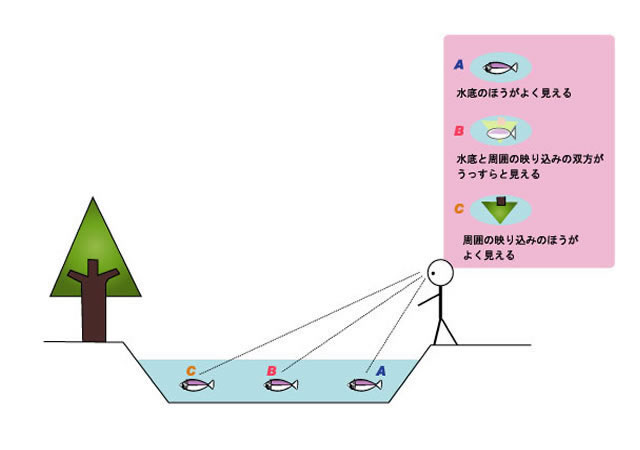 그림 1: 프레넬 반사의 개념도
