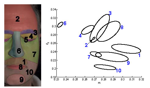 안면 10개소에서의 경면 반사 강도 ρs(세로축)와 면의 거칠기 m(가로축)의 분포. "Analysis of Human Faces using a Measurement-Based Skin Reflectance Model"(Tim Weyrich, SIGGRAPH 2006)